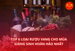 Tin tức Top 6 loại rượu vang cho mùa giáng sinh hoàn hảo nhất 1
